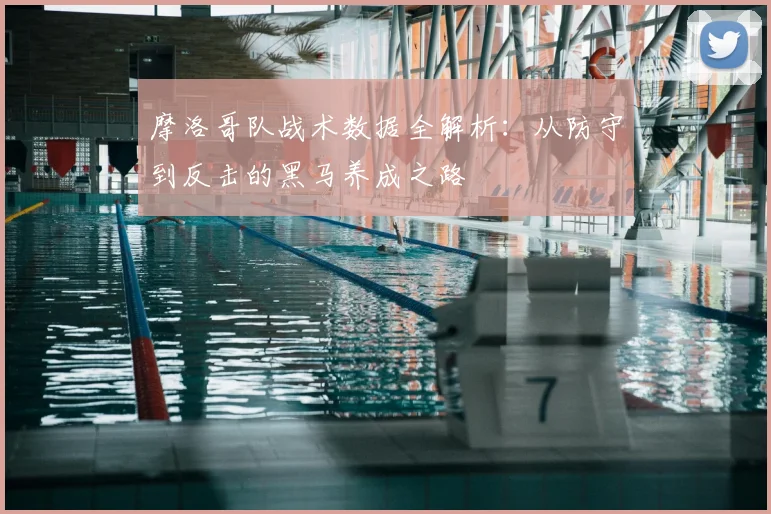 摩洛哥队战术数据全解析：从防守到反击的黑马养成之路